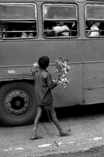 INDIA-10680NF2, Young Boy Selling Flowers, India, 1993